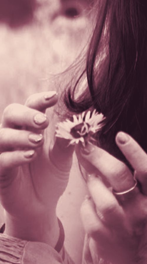 Close-up of fingers holding a small wildflower
